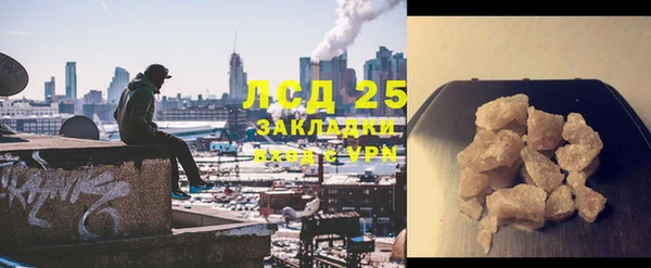 ПСИЛОЦИБИНОВЫЕ ГРИБЫ Каменка