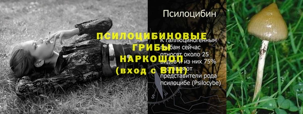 дурь Иннополис