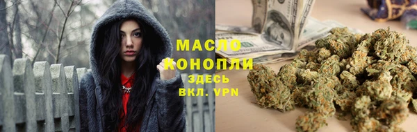 ПСИЛОЦИБИНОВЫЕ ГРИБЫ Каменка